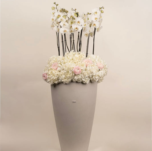Petal Paradise